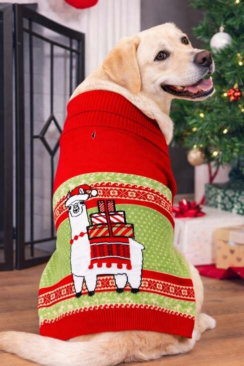 Fun Other - Llama Dog Holiday Christmas Pet Ugly Sweater Medium Xmas Noel Funny New NWT